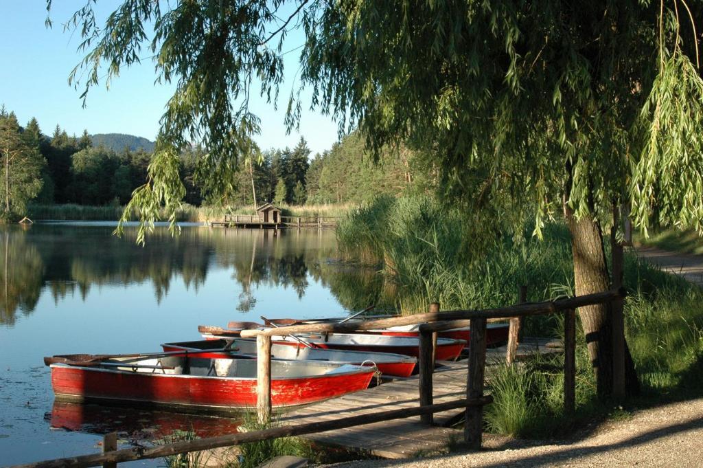 Hotel Waldsee Fiè Kültér fotó